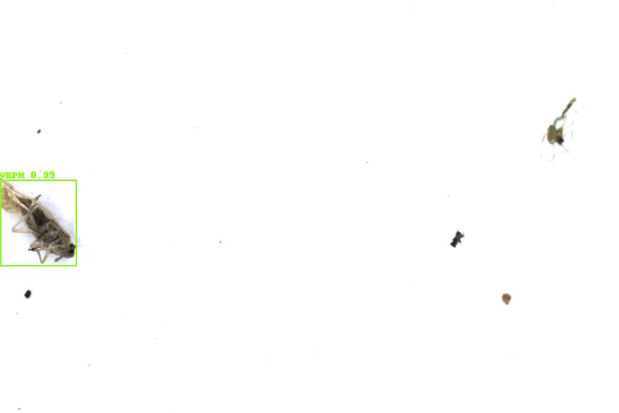 Image 69